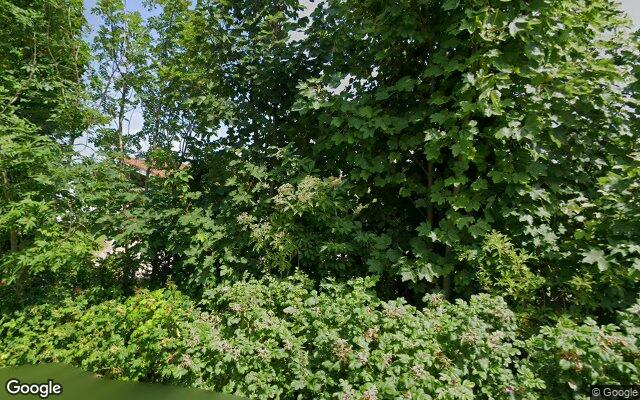 Speeltuin Steedenweg