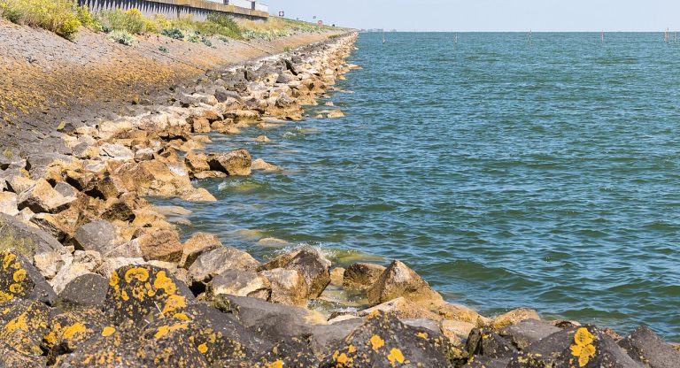 Dagje Afsluitdijk — Attracties in Waddengebied