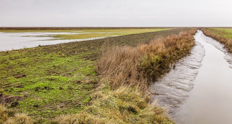 Dagje Vesting Dokkum — Attracties in Waddengebied