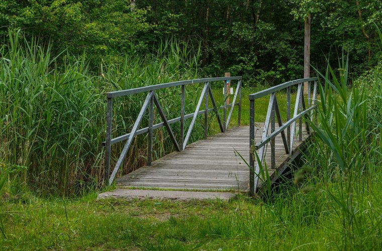 foto: agnes monkelbaan / cc by sa 4.0 via wikimedia commons